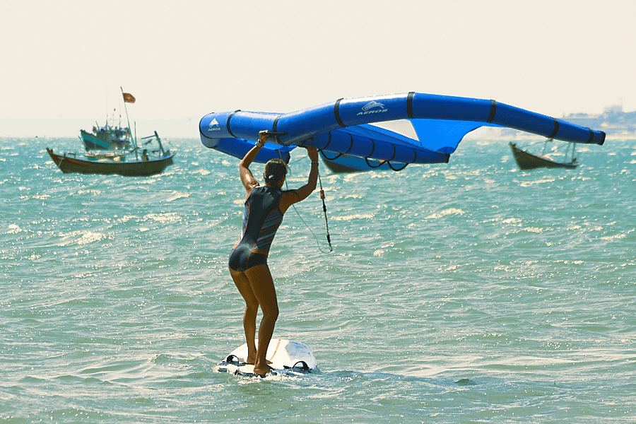 Изображение В чем прикол винга? НАЧАЛО