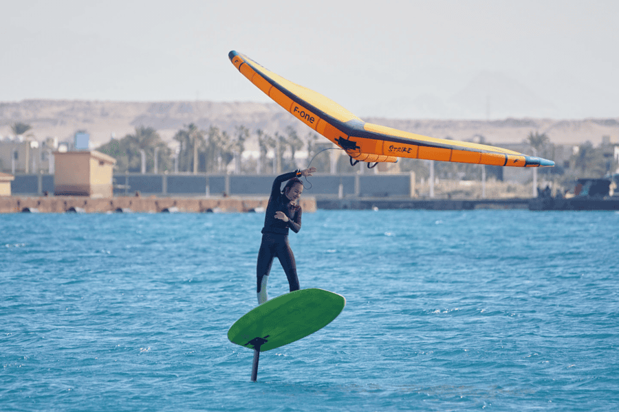 Изображение В чем прикол винга? Часть вторая - НЕИЗБЕЖНОСТЬ